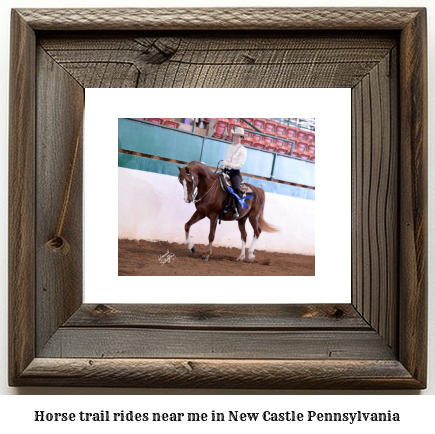 horse trail rides near me in New Castle, Pennsylvania